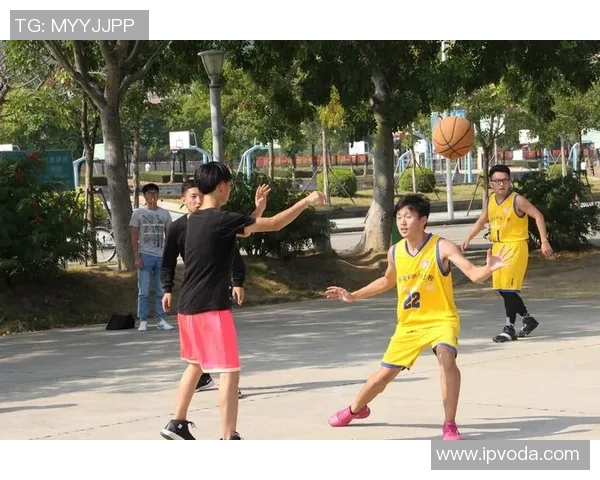 西武狮队的辉煌历程与未来展望：从传奇球员到冠军梦想的追逐