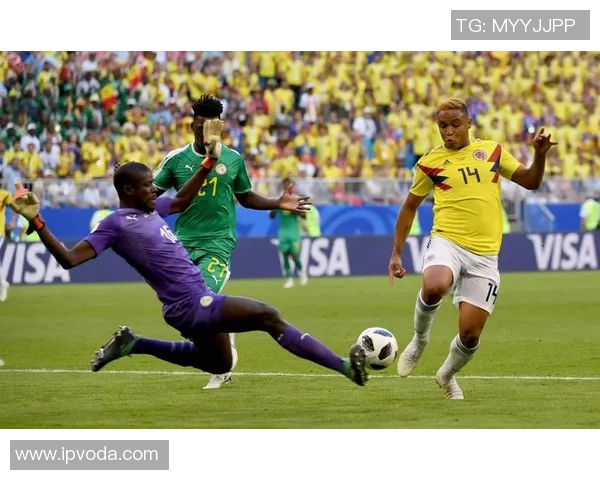 名古屋京巴足球比赛直播精彩瞬间回顾与分析